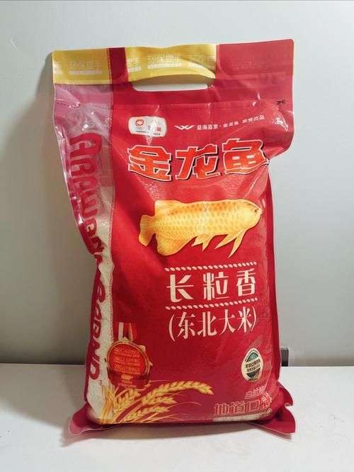 白條金龍魚是哪個品牌？，白條金龍魚是*海瀾之家**旗下的一個服裝品牌