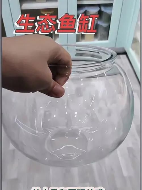 魚缸養(yǎng)魚有哪些禁忌