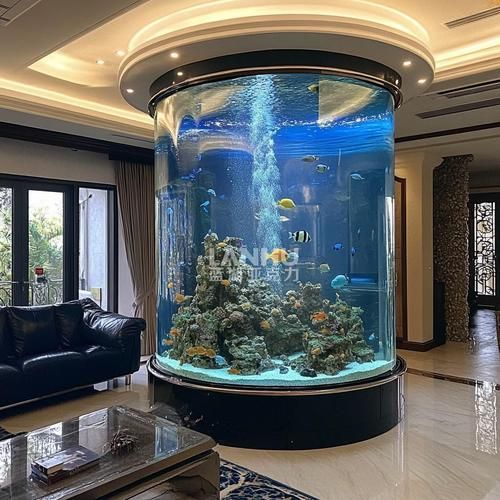 魚缸養(yǎng)魚有哪些禁忌