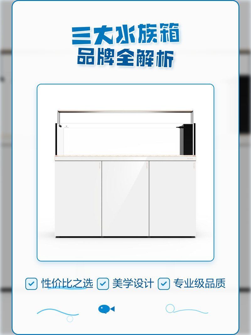 森森和閩江哪個品牌更耐用？，森森和閩江哪個品牌更耐用三大水族箱品牌全解析