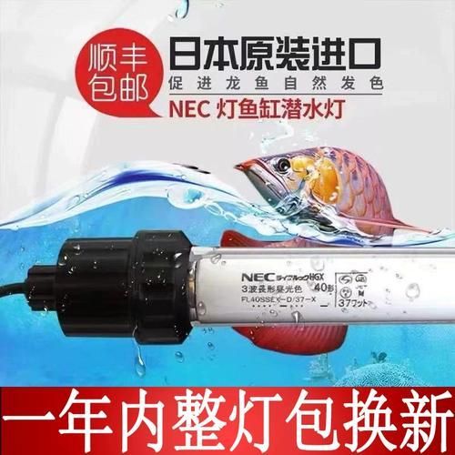 有哪些品牌推薦6700K燈管，6700k燈管的選購對比表，