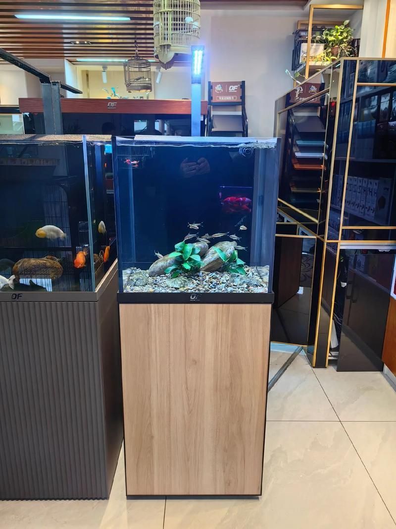 仟湖魚缸的特點是什么？，仟湖魚缸主流型號對比表，幫你快速看清不同系列的核心差異