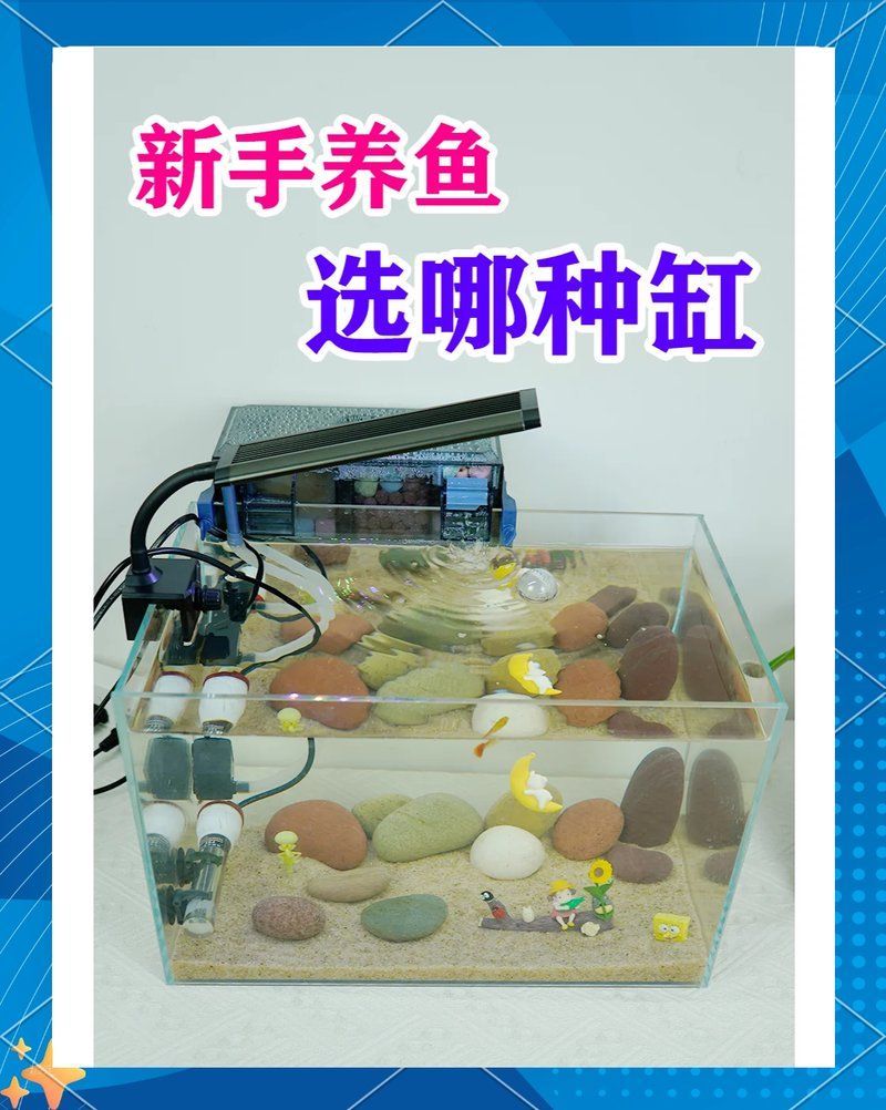 龍魚缸材質哪種最好？，龍魚缸材質選擇對水質和魚類健康至關重要