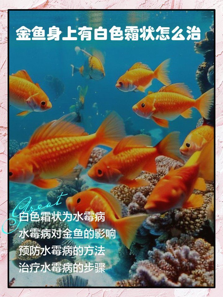 金魚身上有白色霜狀怎么治，寵物生活妙招，金魚身上有白色霜狀怎么治