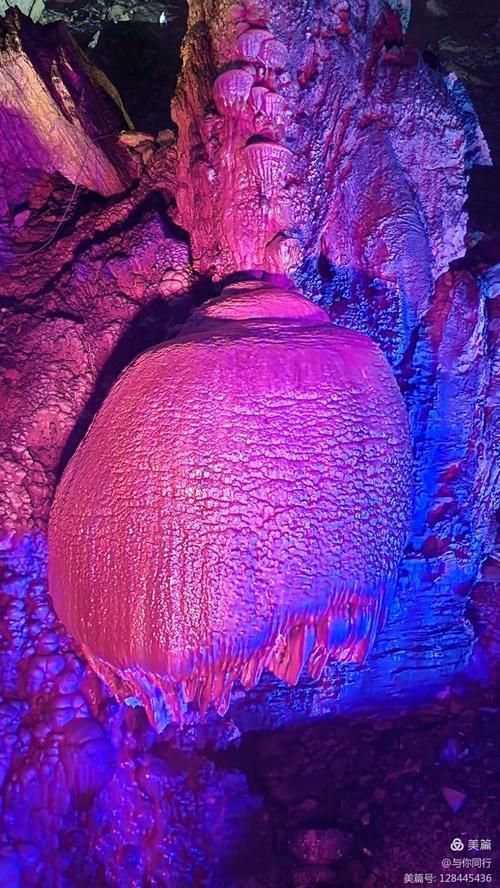 銅仁龍魚有哪些旅游景點(diǎn)？，貴州銅仁龍魚旅游景點(diǎn)攜程旅游景點(diǎn)攜程旅游景點(diǎn)查詢