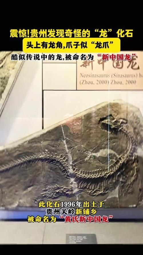 有哪些權威的黃山龍魚認證機構，“黃山龍魚認證機構”是否存在權威的第三方認證機構