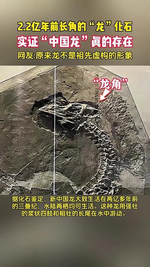 有哪些權威的黃山龍魚認證機構，“黃山龍魚認證機構”是否存在權威的第三方認證機構