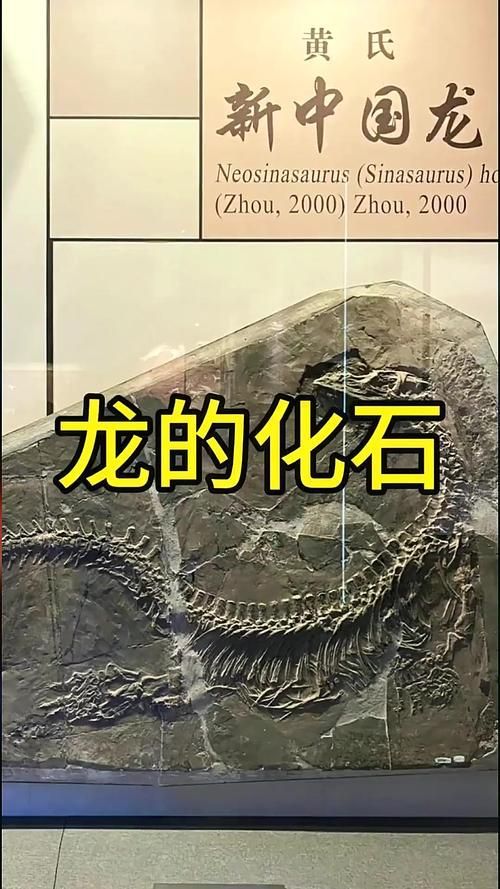 有哪些權威的黃山龍魚認證機構，“黃山龍魚認證機構”是否存在權威的第三方認證機構