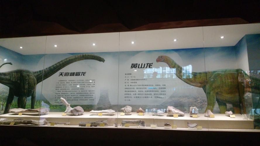 有哪些權威的黃山龍魚認證機構，“黃山龍魚認證機構”是否存在權威的第三方認證機構