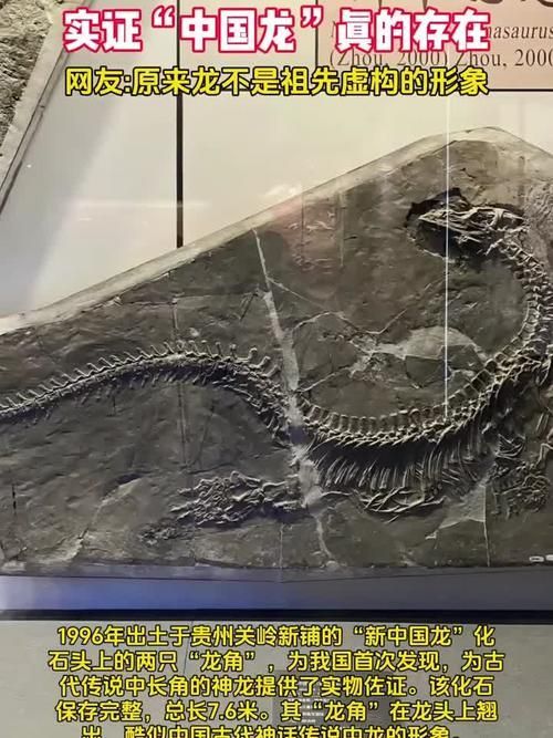 有哪些權威的黃山龍魚認證機構，“黃山龍魚認證機構”是否存在權威的第三方認證機構