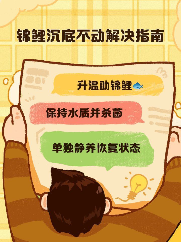 錦鯉沉到底部如何救活，錦鯉沉到底部如何救活，錦鯉沉到底部如何判斷是哪種原因？