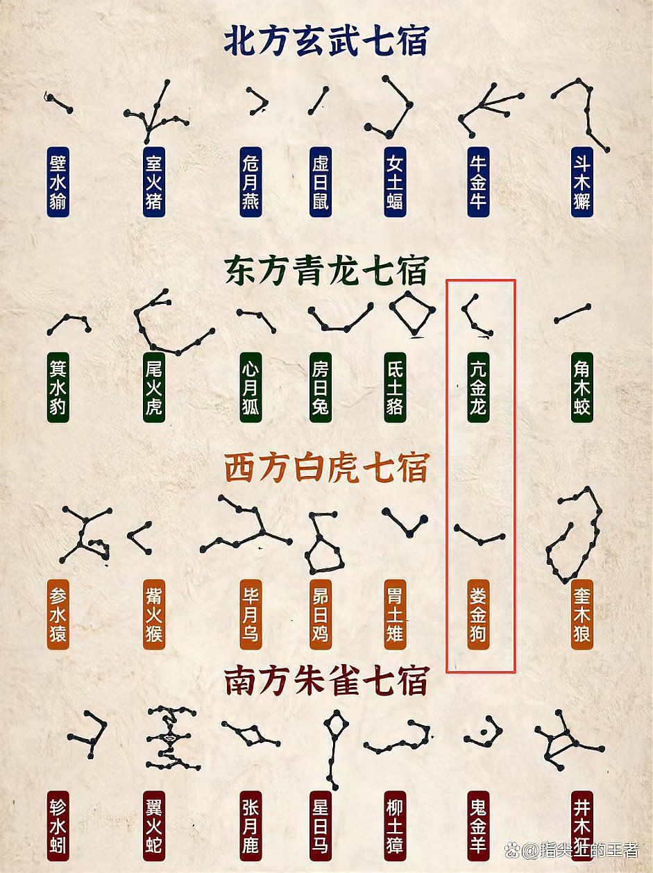 金龍皮膚在游戲中的表現，《王者榮耀》金龍皮膚在游戲中的應用