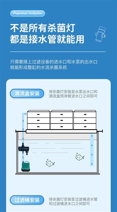 創(chuàng)寧水族，創(chuàng)寧水族是一個(gè)怎樣的公司