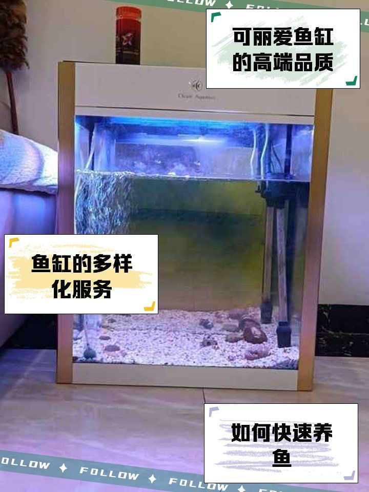 有哪些適合龍魚的魚缸品牌？，龍魚缸品牌魚缸品牌設計簡潔明了