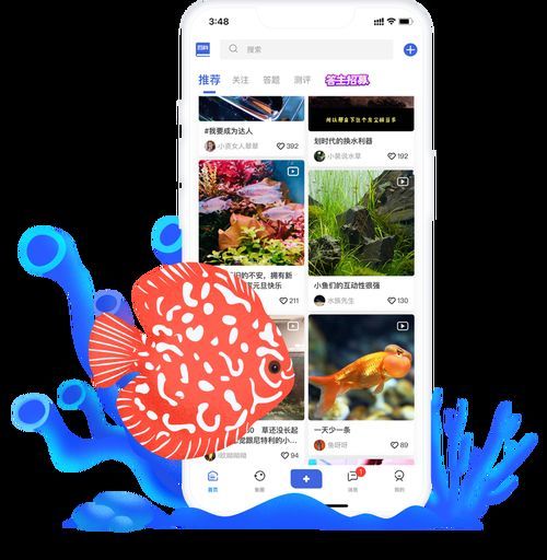 哪個觀賞魚交易平臺app最受歡迎，哪個觀賞魚交易平臺app最受歡迎、最受歡迎的觀賞魚交易平臺app