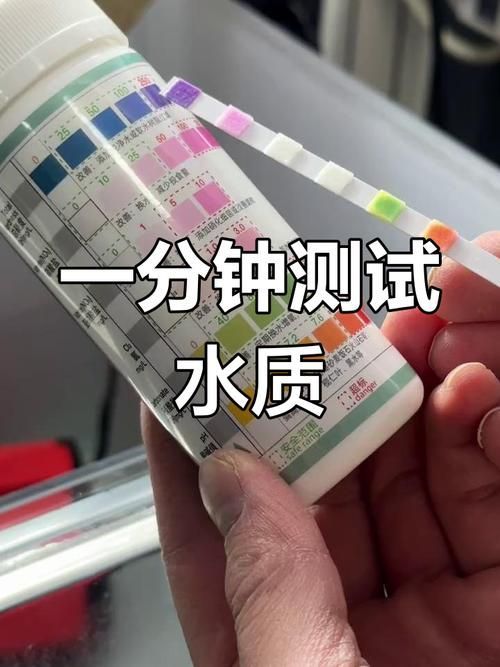 如何判斷水質是否適合招財龍魚？，———科學判斷水質是否適合招財龍魚