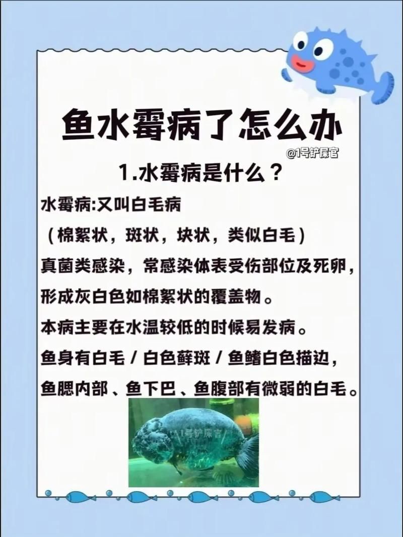 如何預防魚黑色霉斑的復發，如何準準確預防魚黑斑
