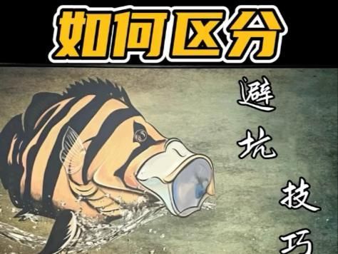 如何選擇合適的龍虎魚品種，十款熱門龍魚大揭秘,紅龍、金龍等品種全解析