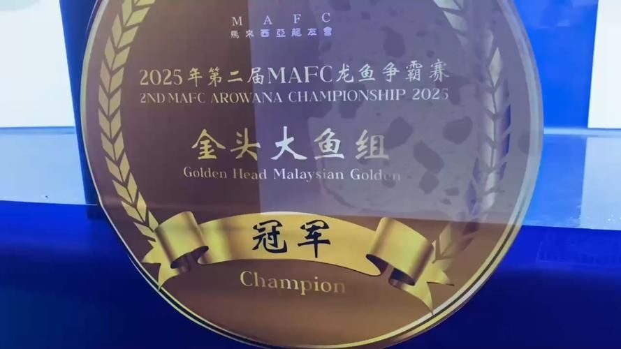 還有哪些國際性的龍魚比賽，馬來西亞第一屆mafc龍魚爭霸賽2024年底舉辦