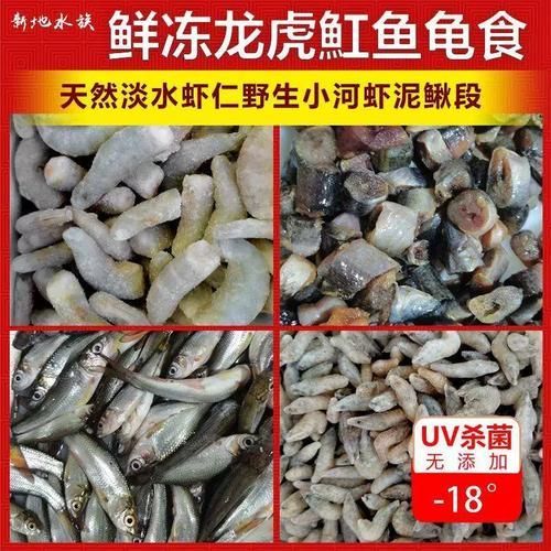 有哪些常見的龍魚活食選擇？，觀賞魚中常見的龍魚活食包括哪些常見的龍魚活食搭配