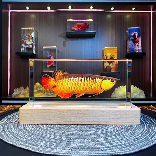 龍魚擺件有哪些款式，龍魚擺件的款式及款式詳解