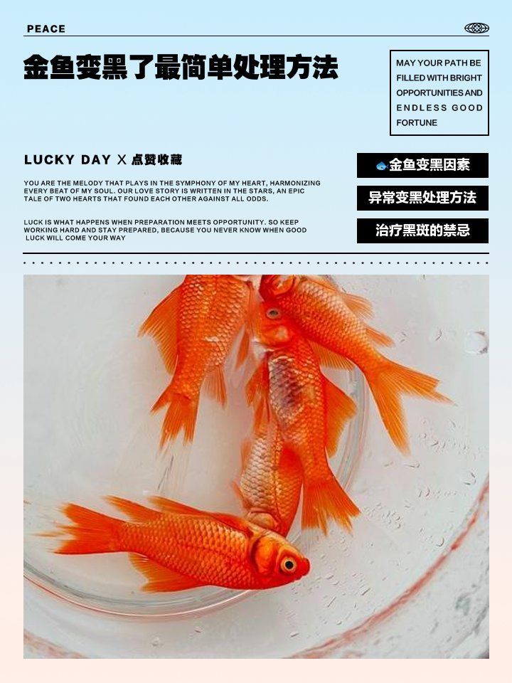 金魚發(fā)黑后多久會(huì)完全恢復(fù)，小魚兒天地，金魚變黑了怎么辦
