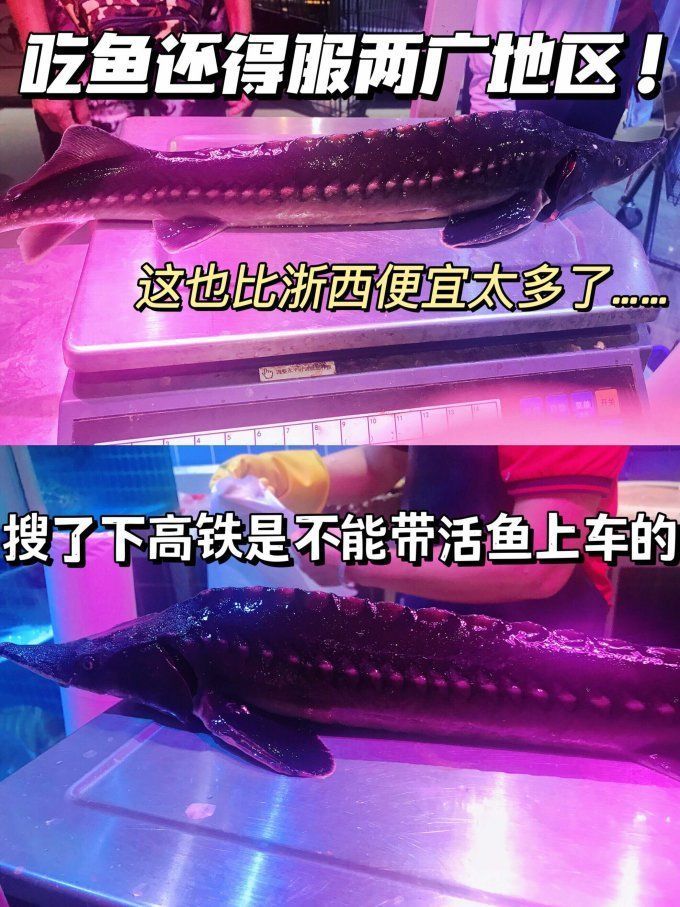 云龍魚的最佳烹飪方法是什么？，云龍魚的最佳烹飪方法是什么云龍魚的最佳烹飪方法詳解