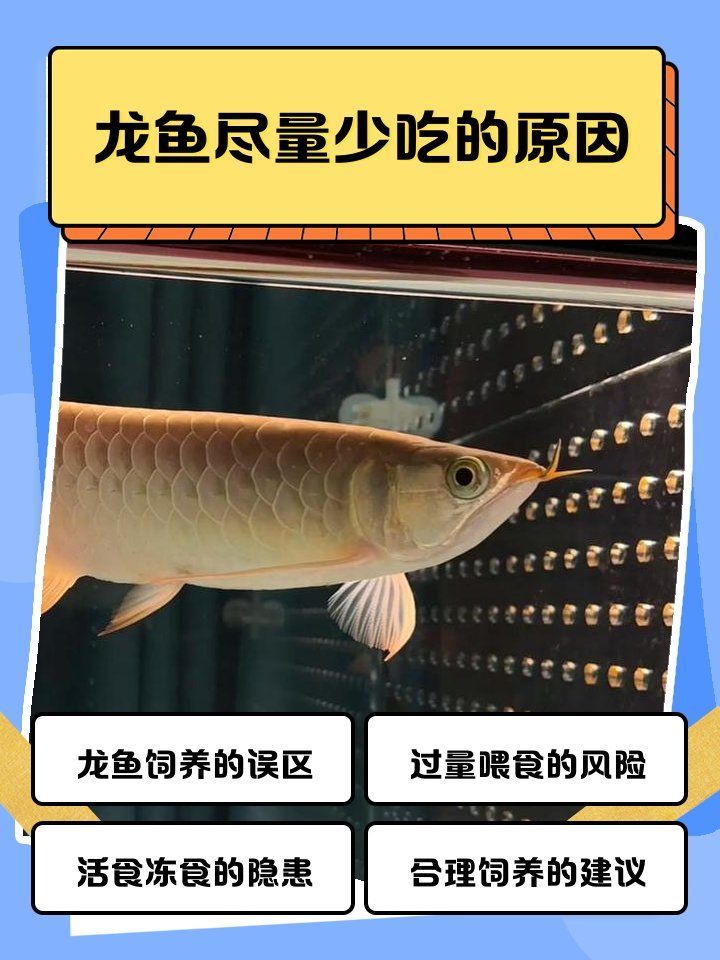 有哪些活食不適合龍魚(yú)食用？，哪些活食不適合龍魚(yú)吃