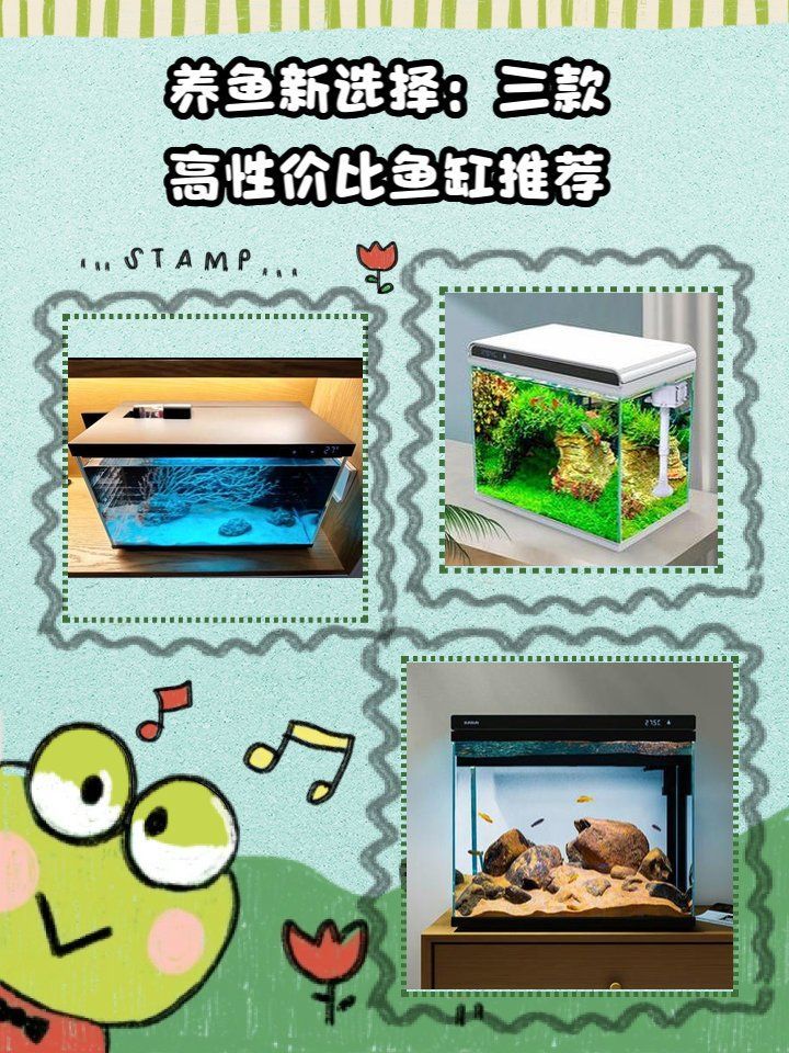 推薦幾款性價(jià)比高的魚(yú)缸品牌，養(yǎng)魚(yú)新選擇:三款高性價(jià)比魚(yú)缸推薦