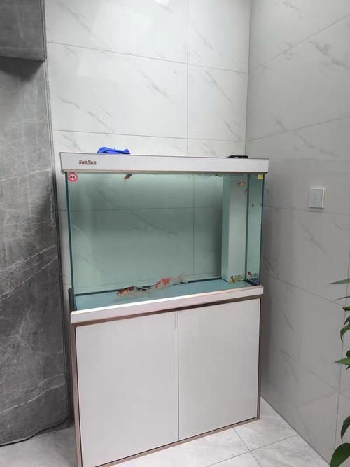 推薦幾款性價比高的魚缸品牌，養魚新選擇:三款高性價比魚缸推薦