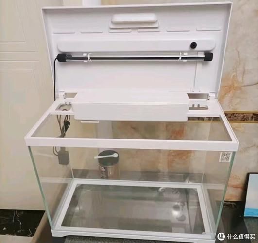 推薦幾款性價(jià)比高的魚(yú)缸品牌，養(yǎng)魚(yú)新選擇:三款高性價(jià)比魚(yú)缸推薦