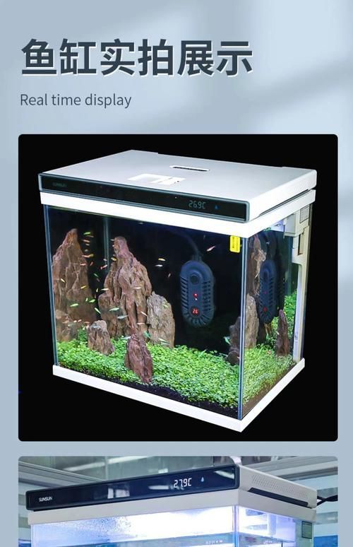 推薦幾款性價比高的魚缸品牌，養魚新選擇:三款高性價比魚缸推薦