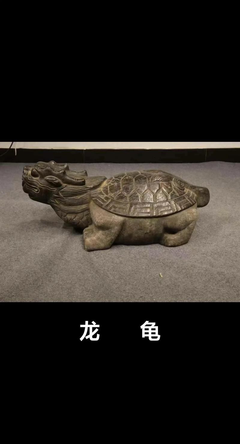 如何用手機APP鑒別龍龜圖片真偽，如何用手機app辨別龍龜圖片真偽