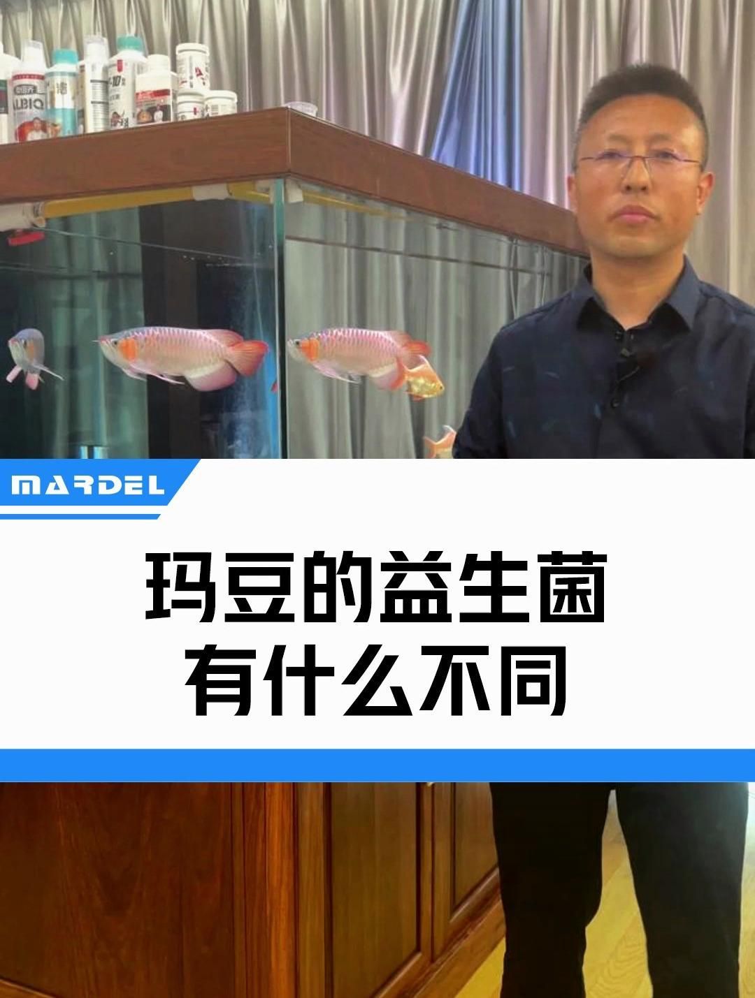 有哪些品牌的龍魚專用益生菌推薦？，龍魚專用益生菌
