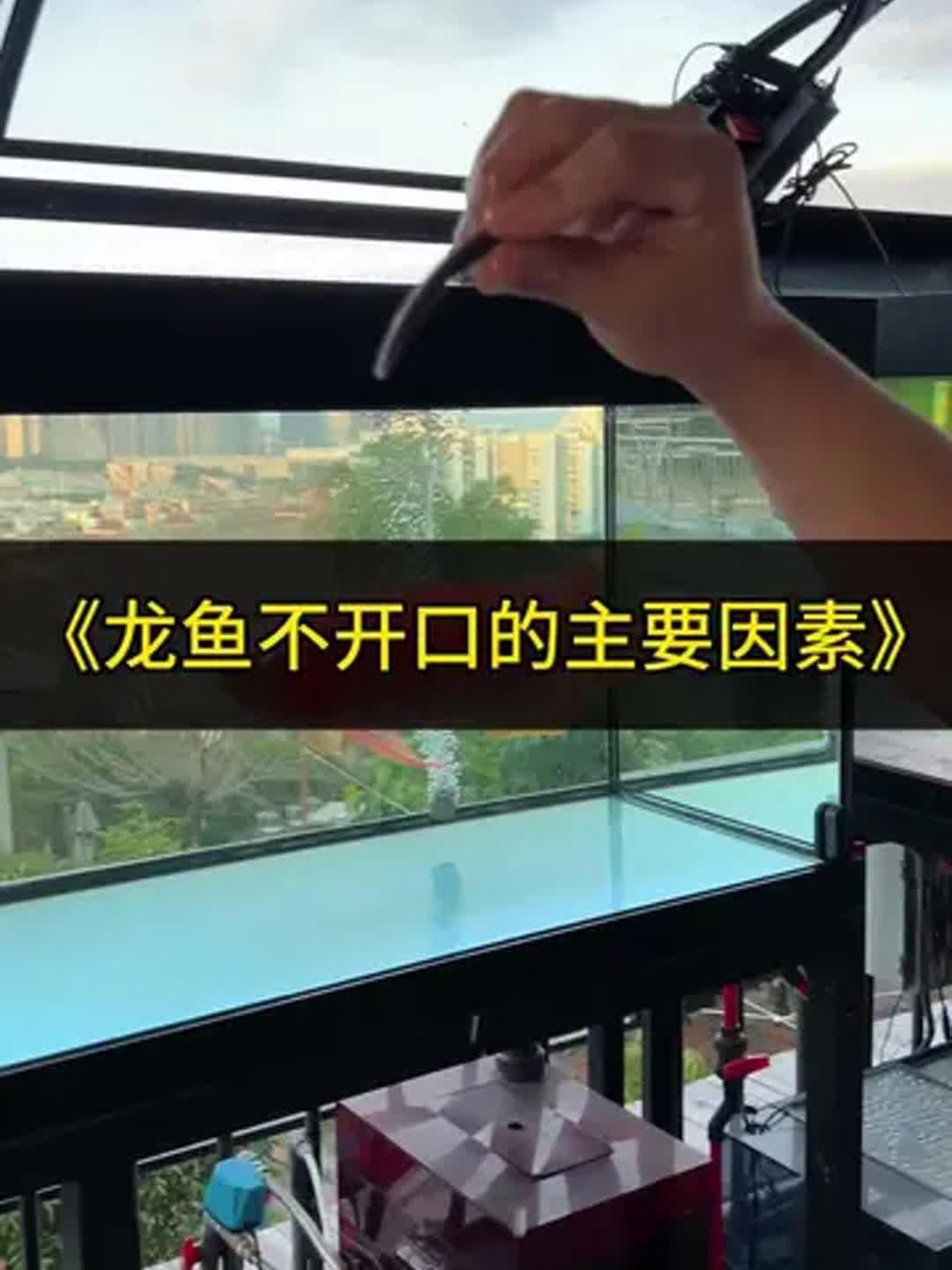有哪些品牌的龍魚專用益生菌推薦？，龍魚專用益生菌