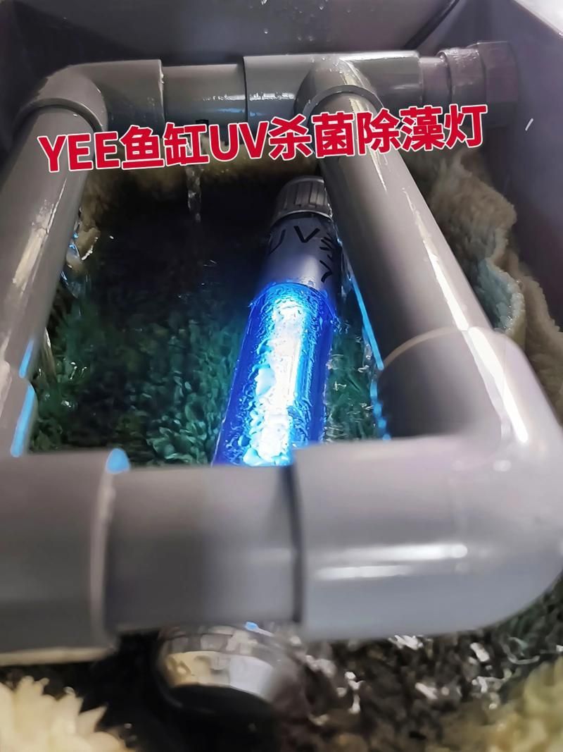 哪些品牌的殺菌燈適合龍魚使用，哪些品牌的殺菌燈適合龍魚使用,龍魚殺菌燈適合龍魚使用