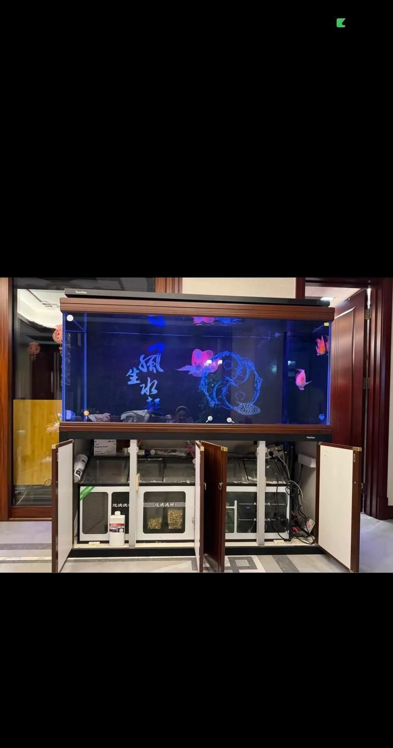 給我推薦幾款適合養龍魚的魚缸，養龍魚的魚缸選擇對于確保其健康成長至關重要