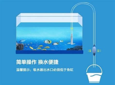 換水后龍魚多久會恢復？，換水后龍魚多久會恢復，換水后龍魚多久會恢復正常活動