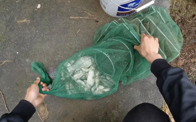 給我推薦幾款性價比高的魚籠，性價比最高的魚籠推薦