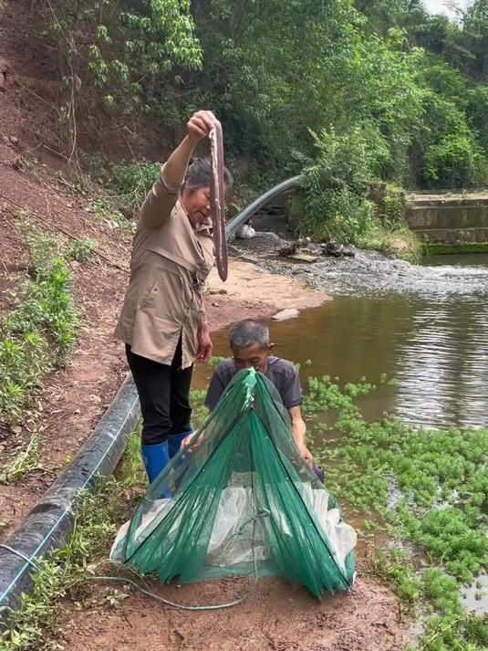 給我推薦幾款性價比高的魚籠，性價比最高的魚籠推薦