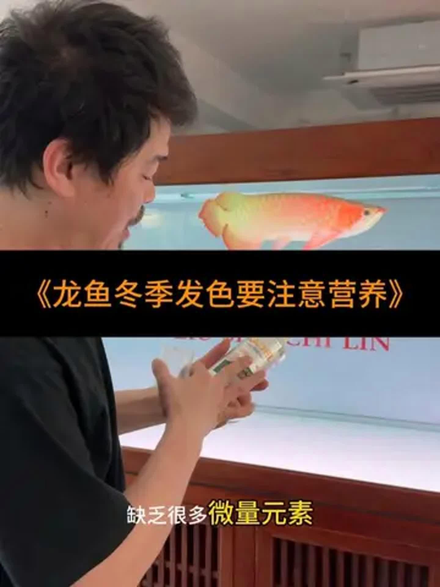 有哪些適合龍魚的維生素添加劑？，適合龍魚的維生素添加劑