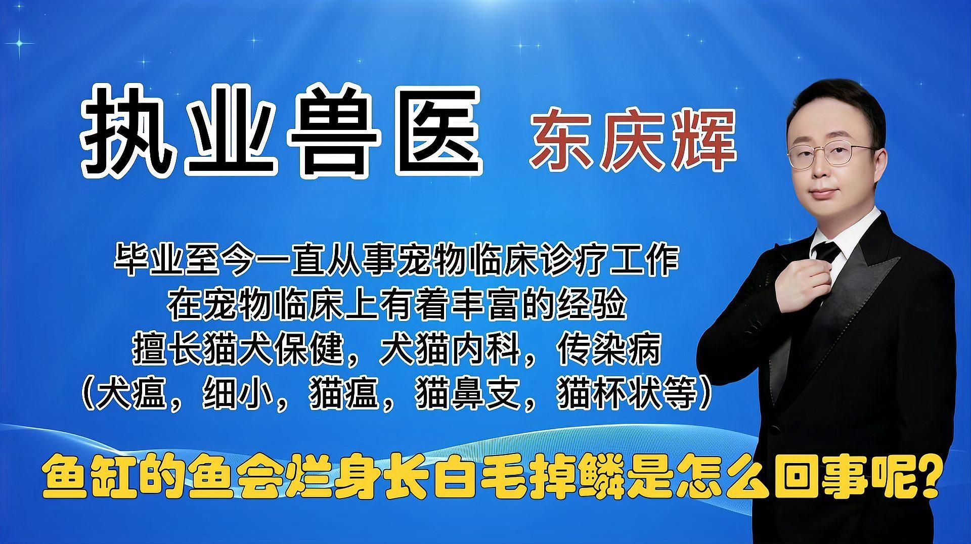 如何預(yù)防魚(yú)爛身的發(fā)生，如何預(yù)防魚(yú)爛身