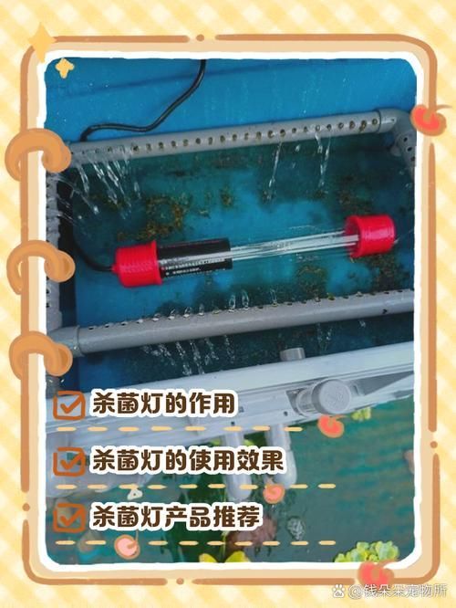 殺菌燈對龍魚疾病有哪些具體效果？，殺菌燈在龍魚養殖中的具體應用