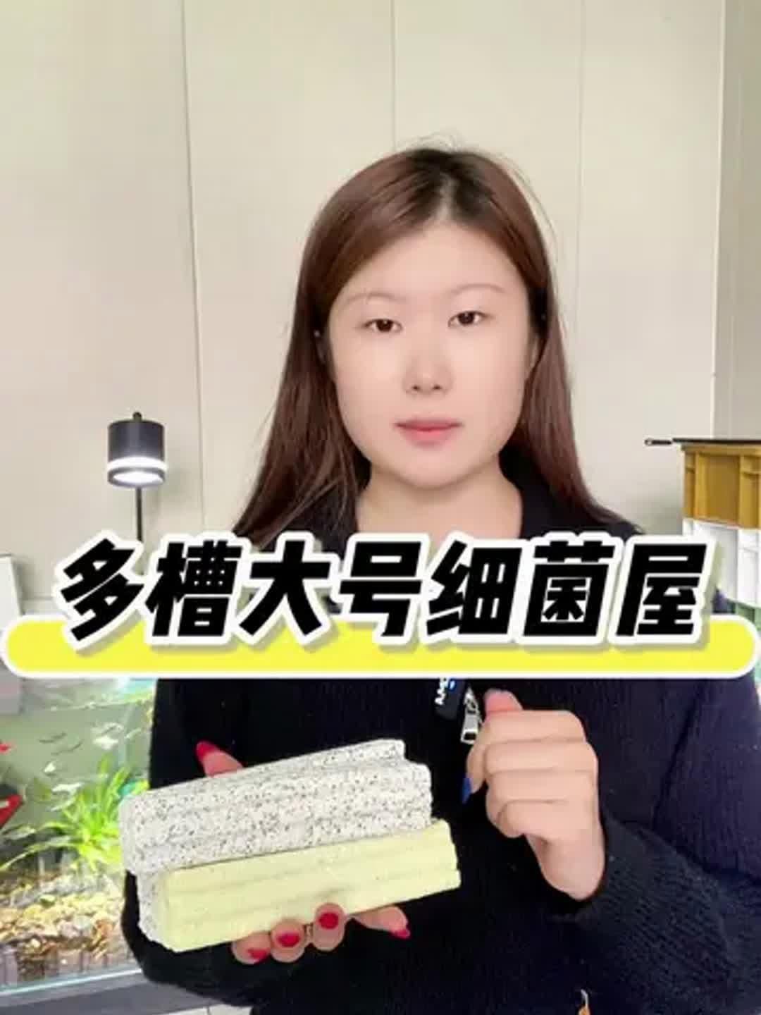有哪些品牌細菌屋推薦，哪些品牌的細菌屋值得推薦
