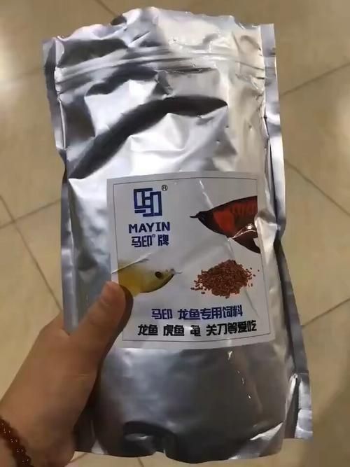 龜增色龍魚最簡單三個步驟，“龜增色龍魚最簡單的三個步驟思解“龜增色龍魚”