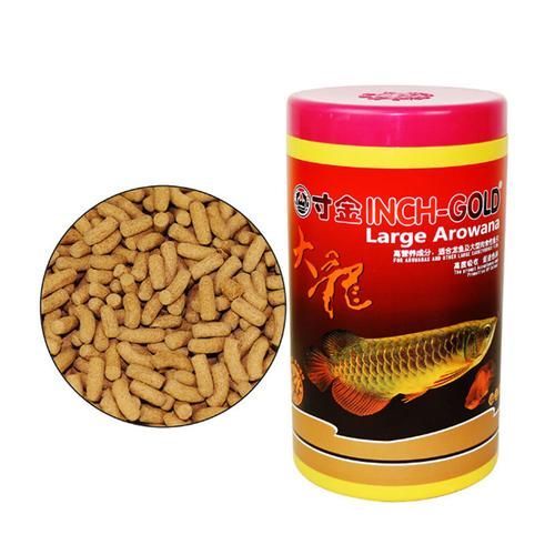 龜增色龍魚最簡單三個步驟，“龜增色龍魚最簡單的三個步驟思解“龜增色龍魚”