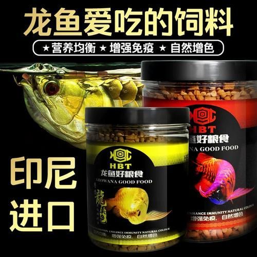 龜增色龍魚最簡單三個步驟，“龜增色龍魚最簡單的三個步驟思解“龜增色龍魚”