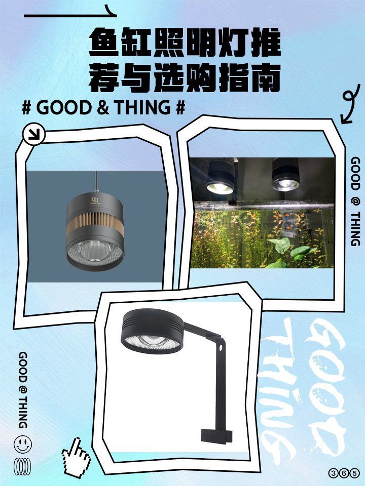 如何選擇適合魚缸的LED照明？，亞克力魚缸定制魚缸led燈推薦與選購指南