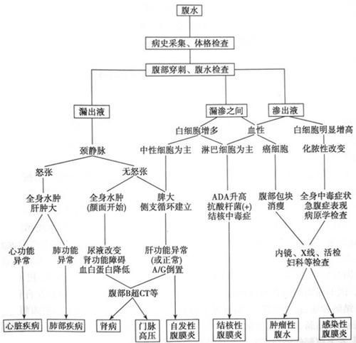腹水患者應該如何就醫，腹水就醫指南