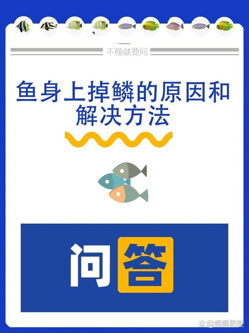 哪些藥物可以有效治療龍魚掉鱗？，龍魚常見病用藥對照表，方便你快速查找對癥藥物和劑量